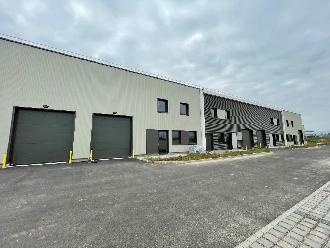Local d'activité Bergheim 3000m² Location local d'activité Bergheim Haut-Rhin OLACT2426346 4